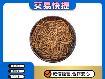 乌海礼品回收虫草.jpg